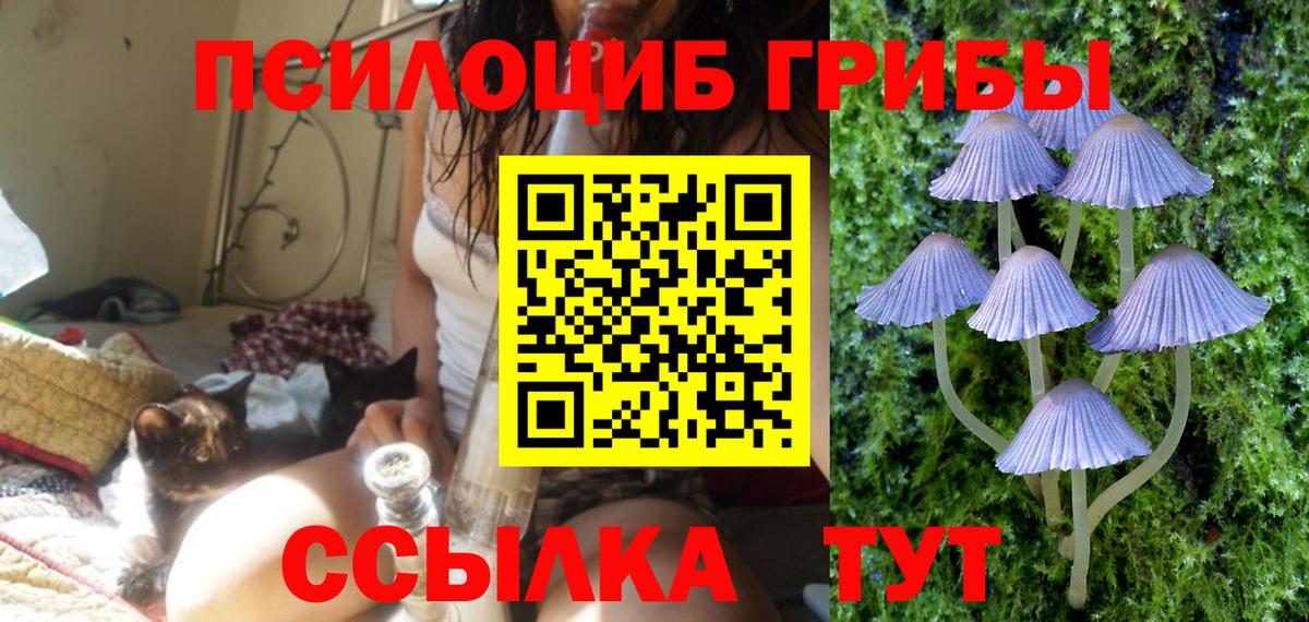 Галлюциногенные грибы мухоморы  Вход с VPN  Галлюциногенные грибы мицелий  Ноябрьск 